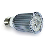 LED Down Light