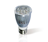 LED Down Light