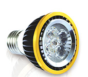 LED Down Light